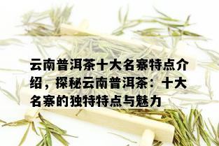 云南普洱茶十大名寨特点介绍，探秘云南普洱茶：十大名寨的独特特点与魅力