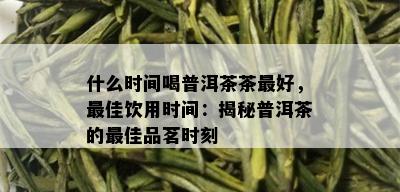 什么时间喝普洱茶茶更好，更佳饮用时间：揭秘普洱茶的更佳品茗时刻