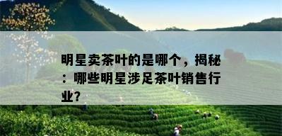 明星卖茶叶的是哪个，揭秘：哪些明星涉足茶叶销售行业？