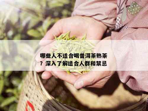 哪些人不适合喝普洱茶熟茶？深入了解适合人群和禁忌