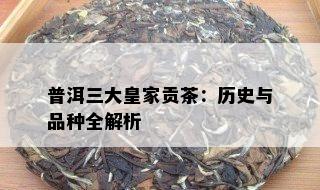 普洱三大皇家贡茶：历史与品种全解析