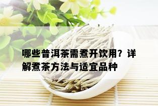 哪些普洱茶需煮开饮用？详解煮茶方法与适宜品种