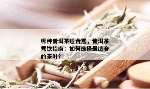 哪种普洱茶适合煮，普洱茶煮饮指南：如何选择最适合的茶叶？