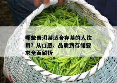 哪些普洱茶适合存茶的人饮用？从口感、品质到存储要求全面解析