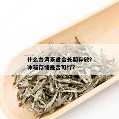 什么普洱茶适合长期存放？冰箱存储是否可行？