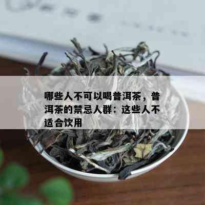 哪些人不可以喝普洱茶，普洱茶的禁忌人群：这些人不适合饮用