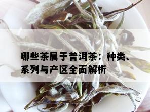 哪些茶属于普洱茶：种类、系列与产区全面解析