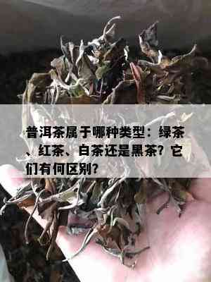 普洱茶属于哪种类型：绿茶、红茶、白茶还是黑茶？它们有何区别？