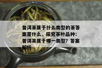 普洱茶属于什么类型的茶答案是什么，探究茶叶品种：普洱茶属于哪一类型？答案解析