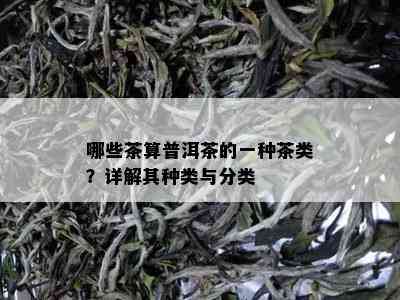 哪些茶算普洱茶的一种茶类？详解其种类与分类