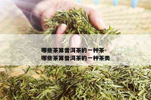 哪些茶算普洱茶的一种茶-哪些茶算普洱茶的一种茶类