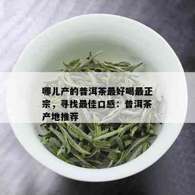 哪儿产的普洱茶更好喝最正宗，寻找更佳口感：普洱茶产地推荐