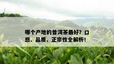 哪个产地的普洱茶更好？口感、品质、正宗性全解析！