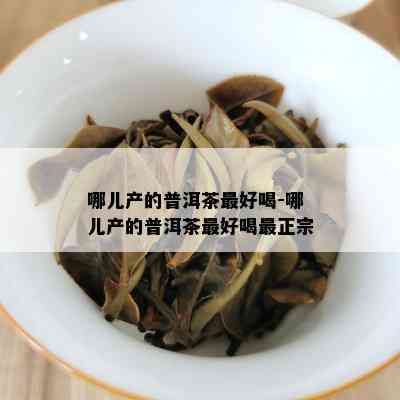 哪儿产的普洱茶更好喝-哪儿产的普洱茶更好喝最正宗