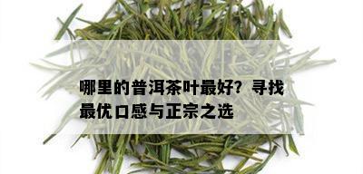 哪里的普洱茶叶更好？寻找更优口感与正宗之选