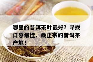 哪里的普洱茶叶更好？寻找口感更佳、最正宗的普洱茶产地！