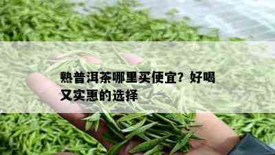 熟普洱茶哪里买便宜？好喝又实惠的选择