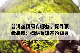 普洱茶顶级有哪些，探寻顶级品质：揭秘普洱茶的知名