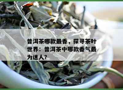 普洱茶哪款最香，探寻茶叶世界：普洱茶中哪款香气最为迷人？