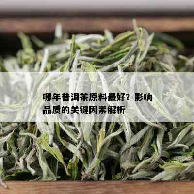 哪年普洱茶原料更好？影响品质的关键因素解析