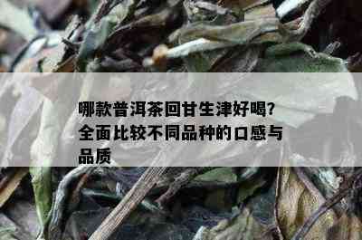 哪款普洱茶回甘生津好喝？全面比较不同品种的口感与品质