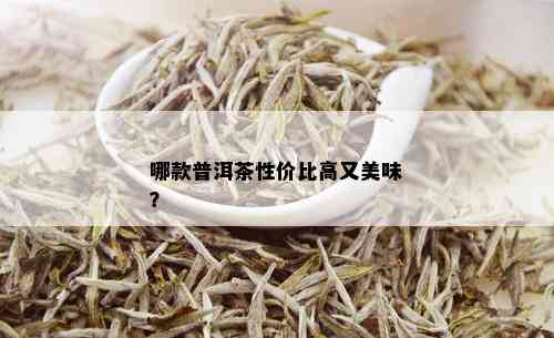 哪款普洱茶性价比高又美味？