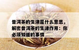 普洱茶的生津是什么意思，解密普洱茶的生津作用：你必须知道的事情