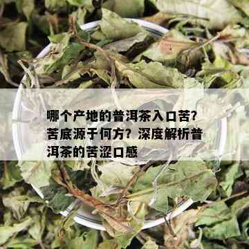 哪个产地的普洱茶入口苦？苦底源于何方？深度解析普洱茶的苦涩口感