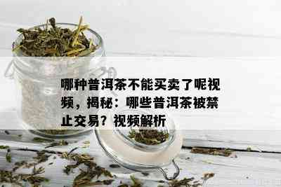 哪种普洱茶不能买卖了呢视频，揭秘：哪些普洱茶被禁止交易？视频解析