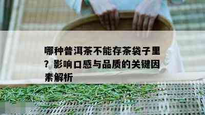 哪种普洱茶不能存茶袋子里？影响口感与品质的关键因素解析