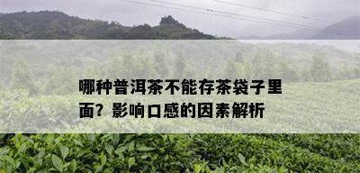 哪种普洱茶不能存茶袋子里面？影响口感的因素解析