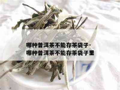 哪种普洱茶不能存茶袋子-哪种普洱茶不能存茶袋子里