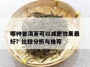 哪种普洱茶可以减肥效果更好？比较分析与推荐