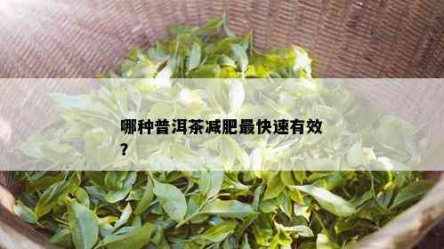 哪种普洱茶减肥最快速有效？