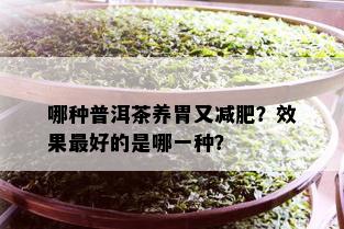 哪种普洱茶养胃又减肥？效果更好的是哪一种？