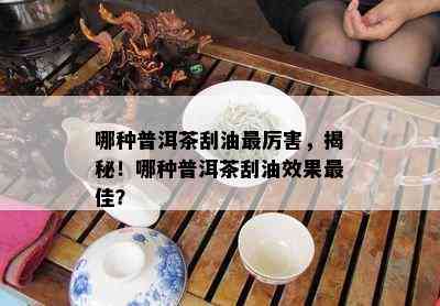 哪种普洱茶刮油最厉害，揭秘！哪种普洱茶刮油效果更佳？