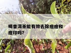 喝普洱茶能有效去除痘痘和痘印吗？