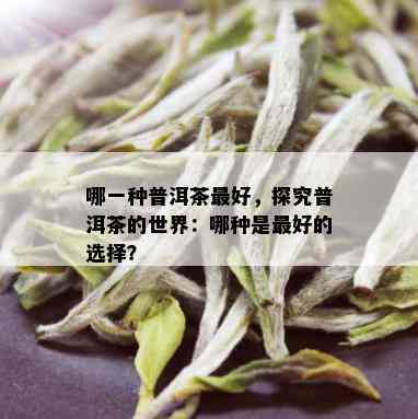 哪一种普洱茶更好，探究普洱茶的世界：哪种是更好的选择？