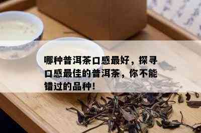 哪种普洱茶口感更好，探寻口感更佳的普洱茶，你不能错过的品种！