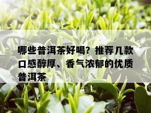 哪些普洱茶好喝？推荐几款口感醇厚、香气浓郁的优质普洱茶