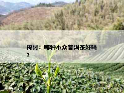 探讨：哪种小众普洱茶好喝？