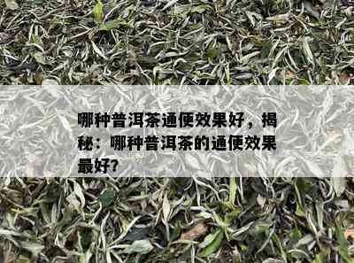 哪种普洱茶通便效果好，揭秘：哪种普洱茶的通便效果更好？