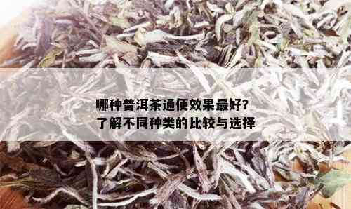 哪种普洱茶通便效果更好？了解不同种类的比较与选择