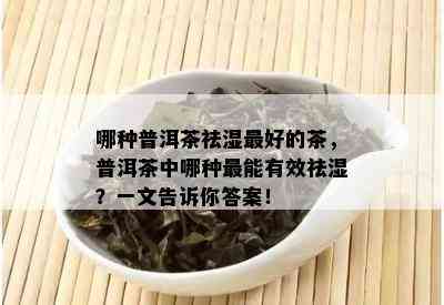 哪种普洱茶祛湿更好的茶，普洱茶中哪种最能有效祛湿？一文告诉你答案！