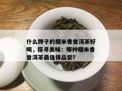 什么牌子的糯米香普洱茶好喝，探寻美味：哪种糯米香普洱茶最值得品尝？