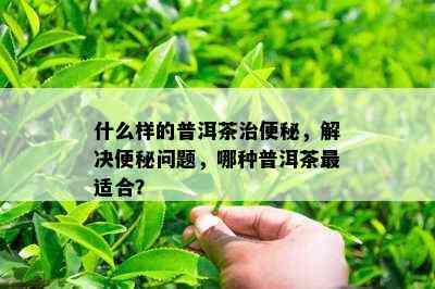 什么样的普洱茶治便秘，解决便秘问题，哪种普洱茶最适合？