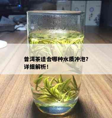 普洱茶适合哪种水质冲泡？详细解析！