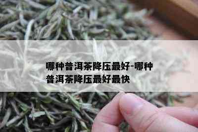 哪种普洱茶降压更好-哪种普洱茶降压更好最快