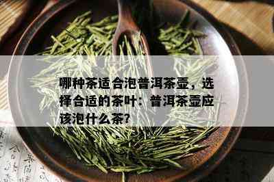 哪种茶适合泡普洱茶壶，选择合适的茶叶：普洱茶壶应该泡什么茶？