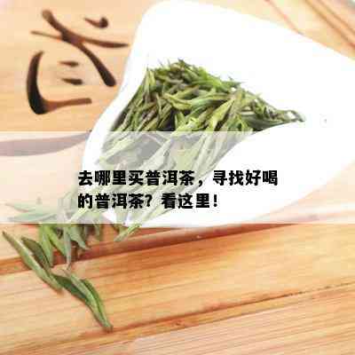 去哪里买普洱茶，寻找好喝的普洱茶？看这里！